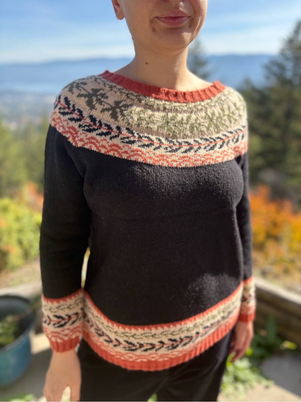Ladies Fall Sweater